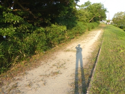 06.21 6月のR池~Im湿原 1.jpg