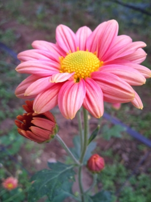 2010-11-18 08.42.36.jpg