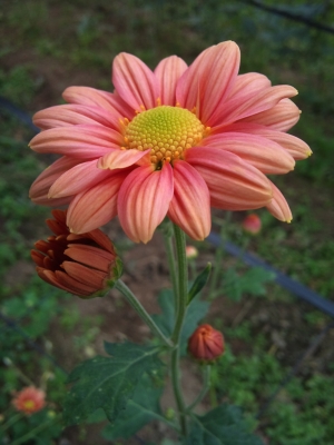 2010-11-18 08.42.57.jpg