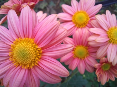 2010-11-18 08.43.22.jpg