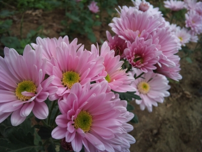 2010-11-18 08.45.50.jpg