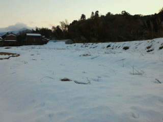 2011010717190000.jpg