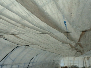 2011020421040000.jpg