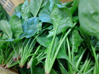 2011021018280000.jpg