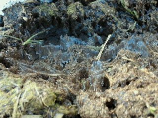 2011021621040000.jpg