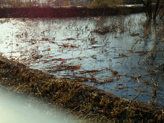2011021621040001.jpg
