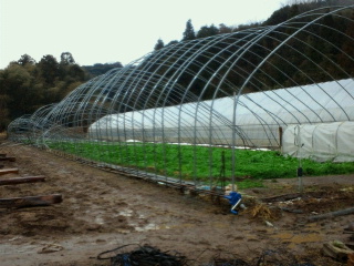 2011030717390000.jpg