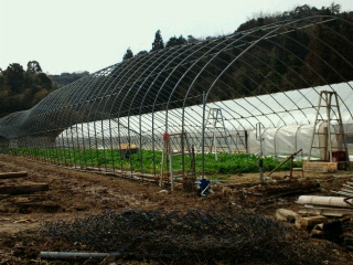 2011030717390001.jpg