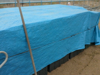 2011041918300000.jpg