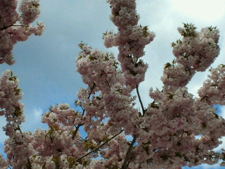 2011041918300003.jpg
