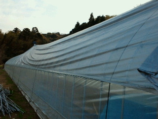 2011042121080000.jpg