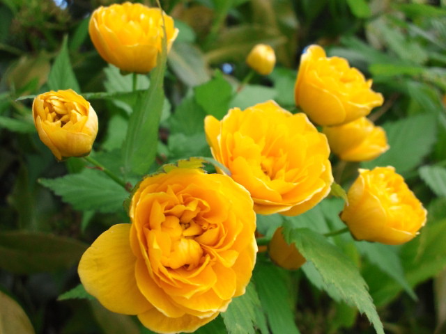 2011042511460000.jpg