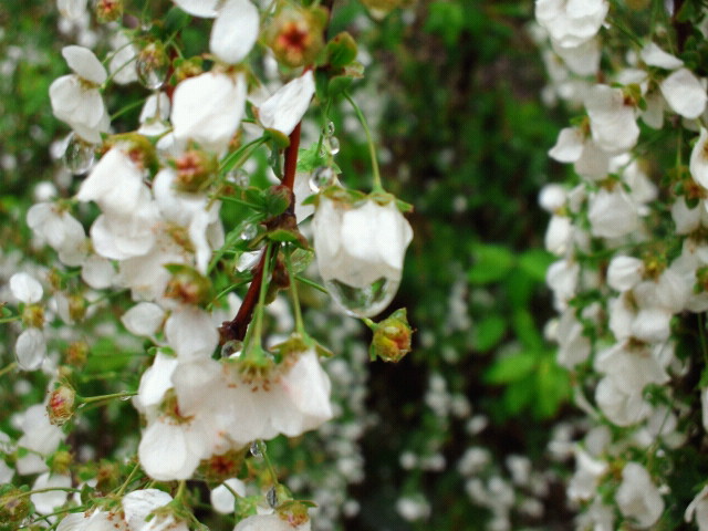 2011042313420000.jpg