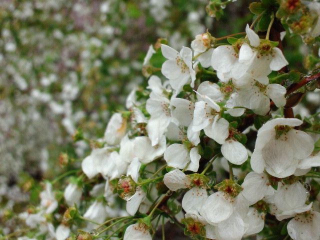 2011042313410000.jpg