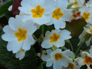 2011042618500001.jpg