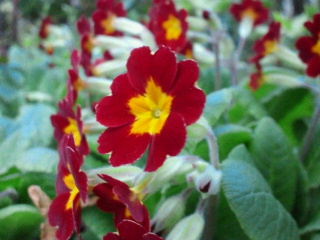 2011042618500002.jpg