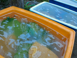 2011042618510000.jpg