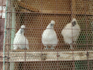 2011051721020000.jpg