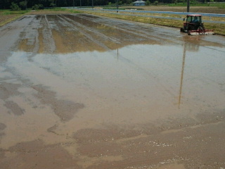 2011052020390000.jpg