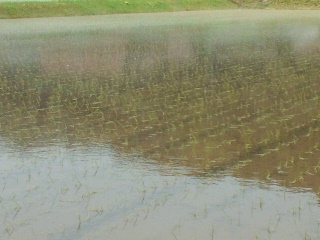 2011060519310000.jpg