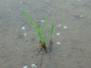 2011060921090000.jpg