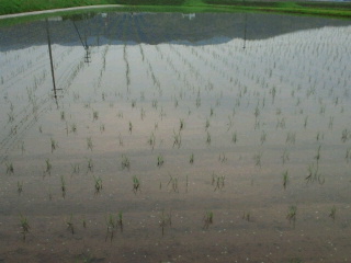 2011060921100000.jpg