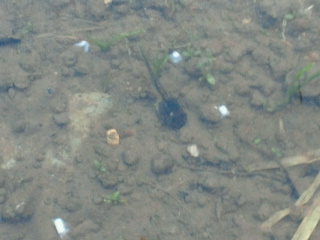 2011060921100002.jpg