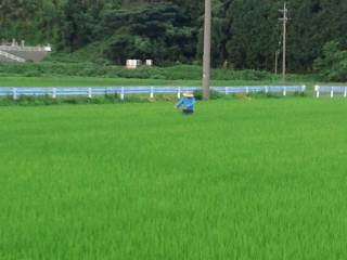 2011071506110001.jpg
