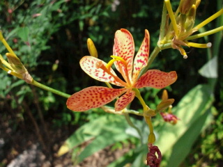 2011080406110000.jpg