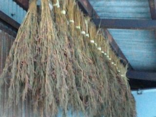 2011082718090000.jpg