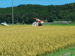 2011090720190000.jpg