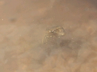 2011090720190001.jpg