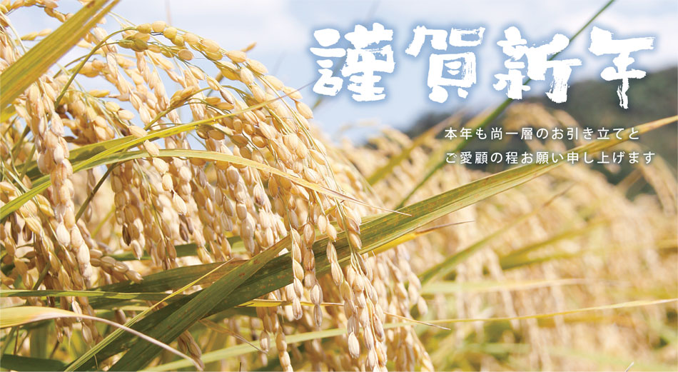 20120101_web.jpg