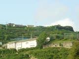 大坊小