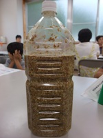 醤油作り2