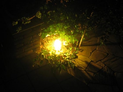 20080416night