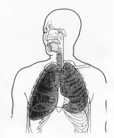 breathline