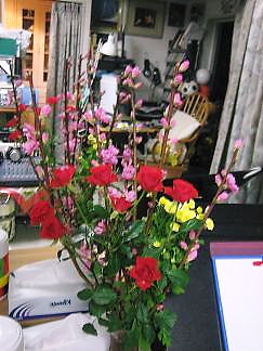 flowers20090224.JPG
