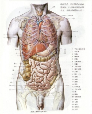 Body00.jpg