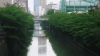 MR090501.JPG