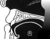 agoNo.3.jpg