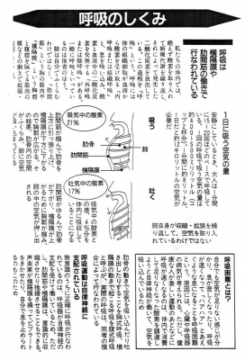 呼吸のしくみ01.jpg