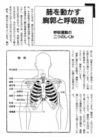 呼吸のしくみ02.jpg