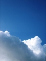 1008040702.JPG