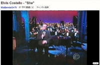 Elvis Costello.jpg