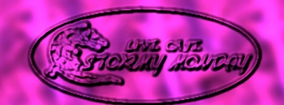 st・m logo