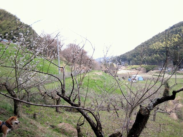 日本・九州の大動脈