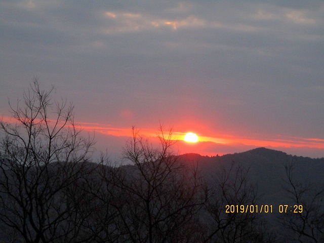 IMG_3362.jpg
