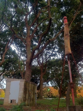 上野公園