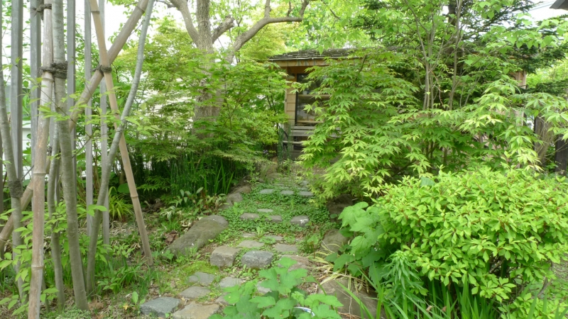2011 05 28_2555.jpg
